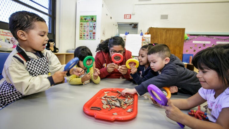 Trojan is using a magnifying glass to look at leaves with kids in their classroom.