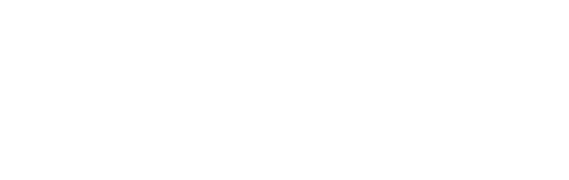 VICE