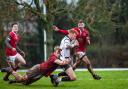 with flanker Nathan Hortonshowing his determination in the tackle. Picture by Michael Wincott Photography.