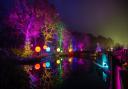 BeWILDerwood gets award nomination for Christmas display