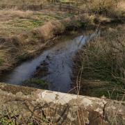 The River Duckow in Cheshire.