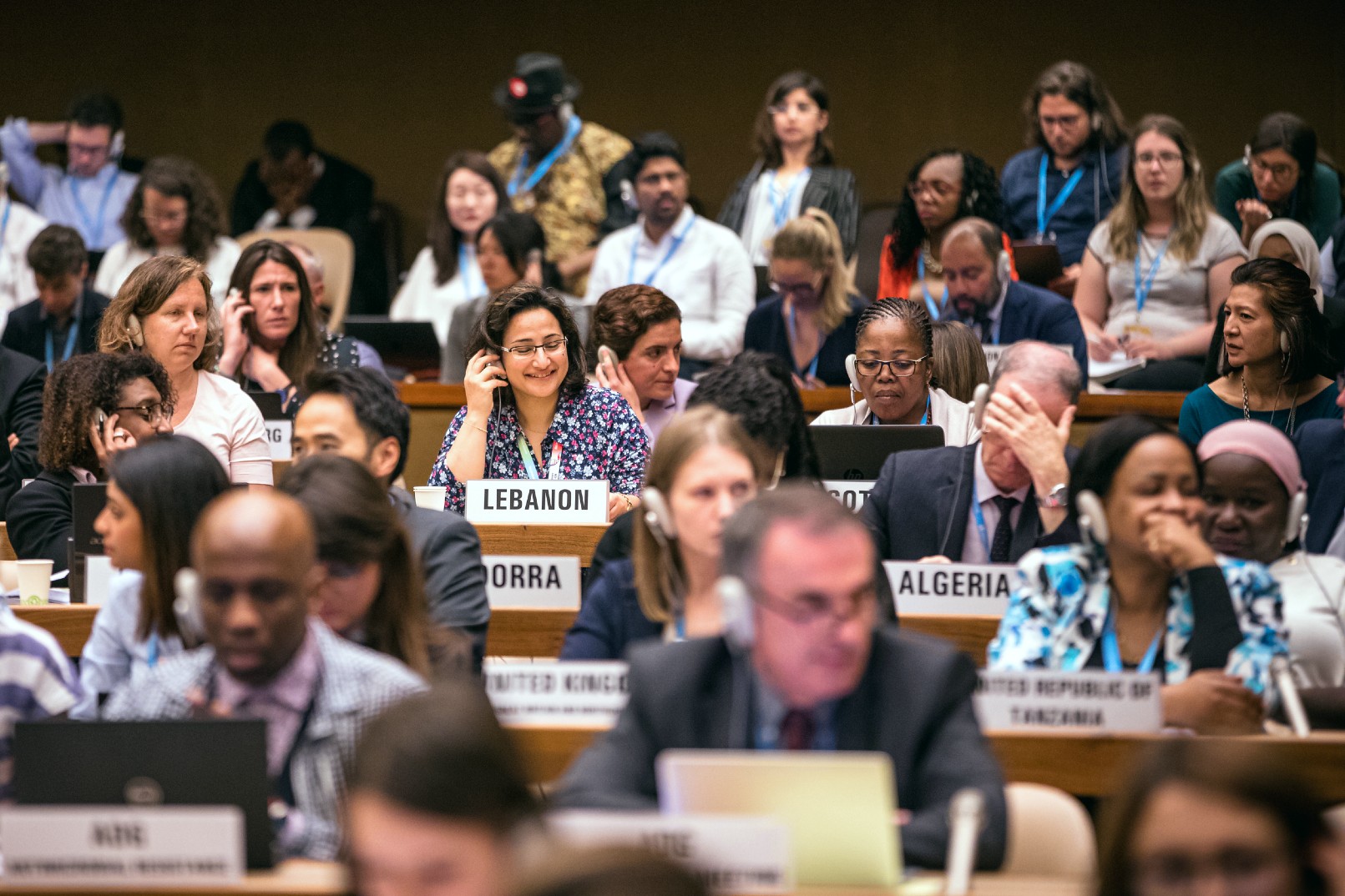 WHO Member State delegates at the Seventy-second World Health Assembly.