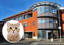 FINED: Worcester magistrates have fined a man for kicking a cat