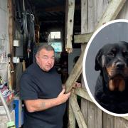 SHOCK: Terry Harrison next to one of 5 doors damaged by police during a chainsaw raid in Canterbury Road. Inset: Sindy, the Rottweiler who used to sleep by the front door as a puppy