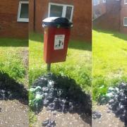 'Disgusting' dog bin