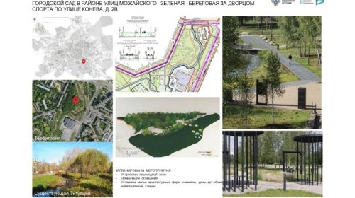 Сохранить естественный ландшафт городского сада за Дворцом спорта хотят вологжане 