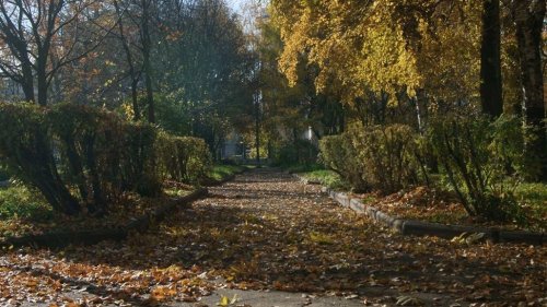 Вологжане мечтают «оживить» сад на улице Ветошкина около Дворца культуры железнодорожников 