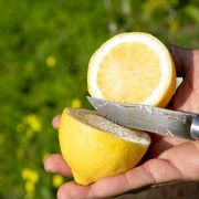 How a French town lost its lemons thumbnail