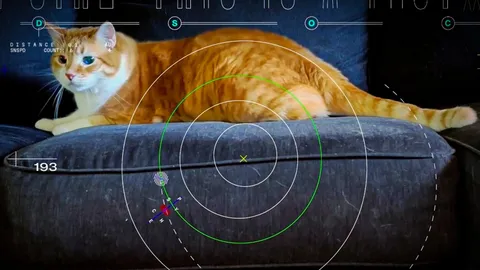 How space lasers beamed this cat video