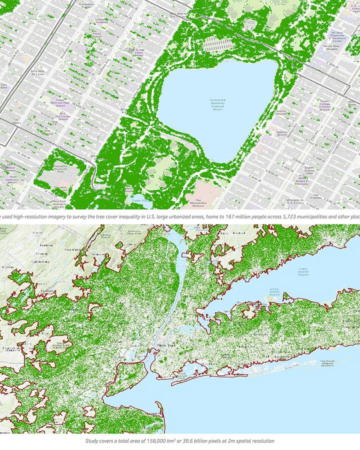 Only 17% of New York City's 7 million trees are in areas populated largely by people of colour (Credit: Getty Images)