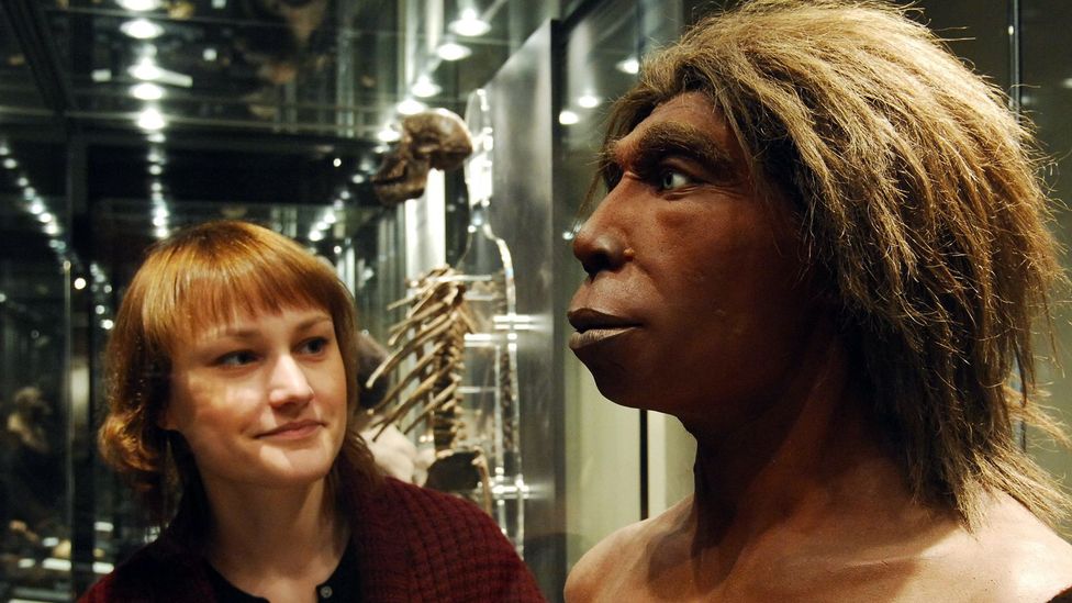 Both male and female Neanderthals are known to have interbred with our ancestors (Credit: Lambert/Ullstein Bild/Getty Images)