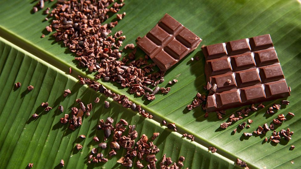 There are nearly a dozen bean-to-bar chocolate companies in Belize (Credit: Cannon Photography LLC/Alamy)