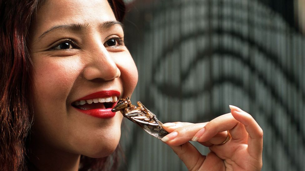 Fried insects are a popular food in many parts of Asia and Africa (Credit: Peter Charlesworth/Getty Images)