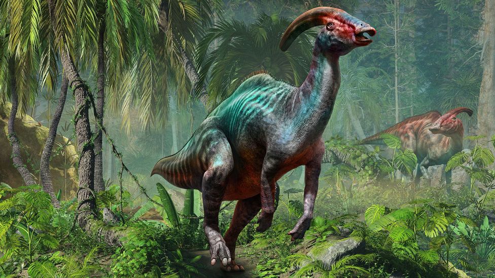 Artist's impression of Parasaurolophus (Credit: Alamy)