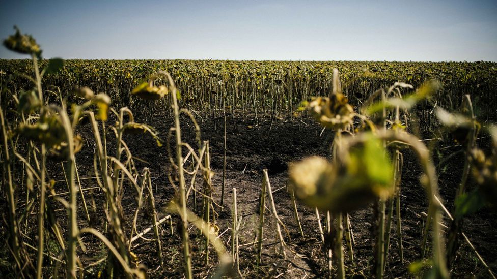 The UN warns that the war in Ukraine could leave a "toxic legacy for generations to come" (Credit: Dimitar Dilkoff/Getty Images)