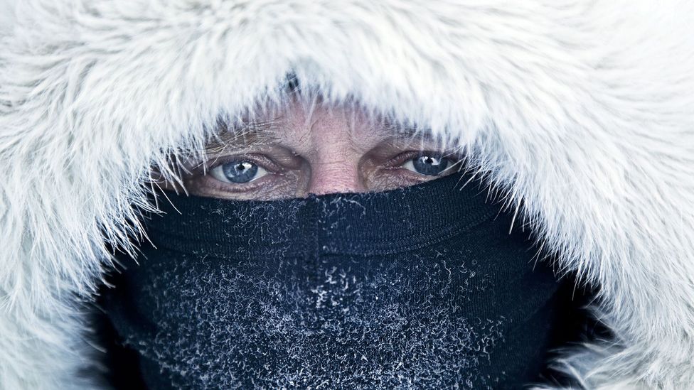 Humans began to wear fur clothing as protection against the cold – but scientists still don't know exactly when this happened (Credit: David Trood/Getty Images)