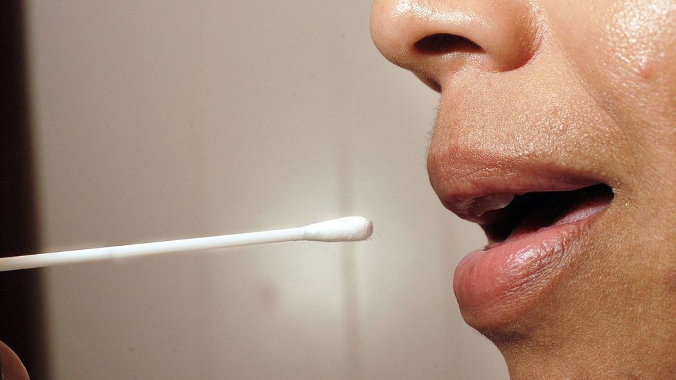 A person about to use a mouth swab to take a DNA sample (Credit: Getty Images)