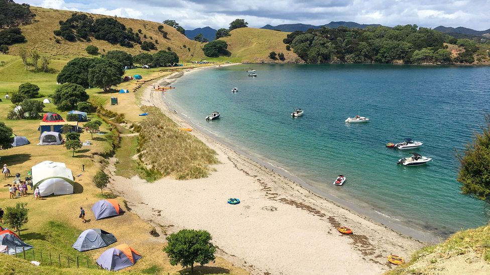 View of campsite on Urupukapuka Island, Bay of Islands, New Zealand