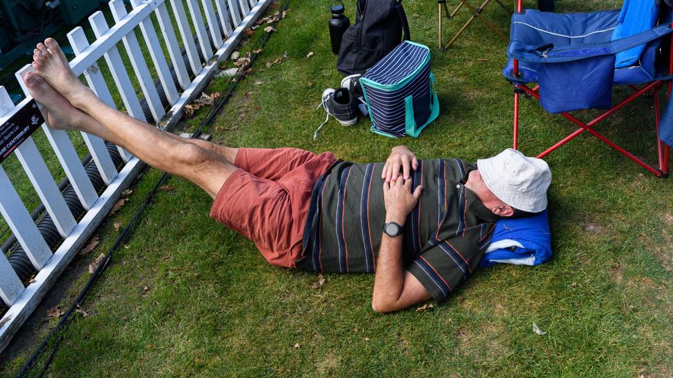 A spectator takes a nap at a cricket match in New Zealand (Credit: Getty Images)