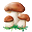Блюда из грибов